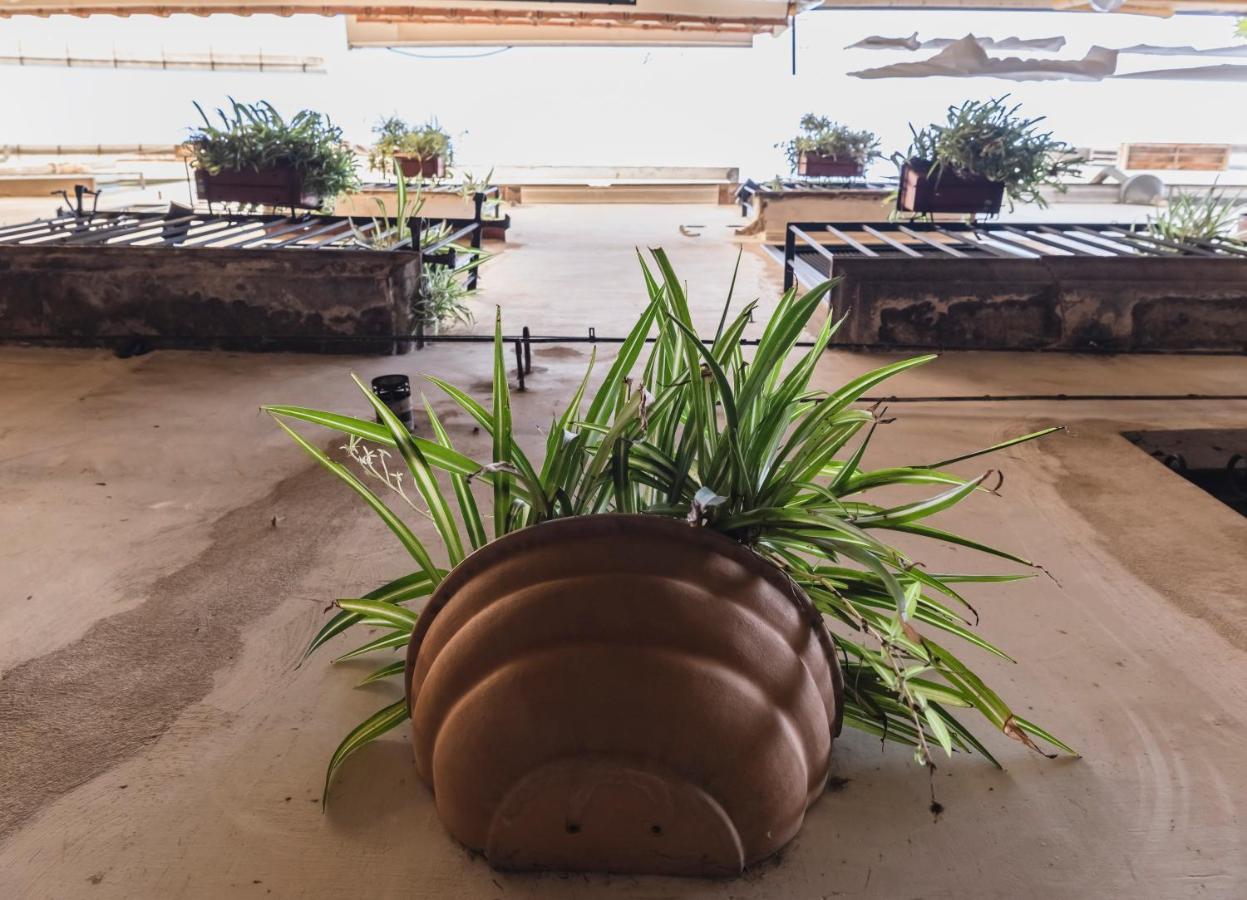 La Casa Degli Angeli Acomodação com café da manhã Salerno Exterior foto